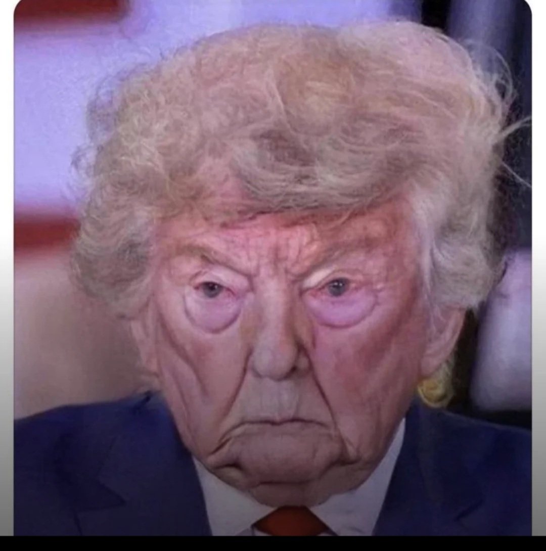 Dawson_Colling's tweet photo. @SystemRupture @catturd2 🤣 https://t.co/bCFIL7PAga