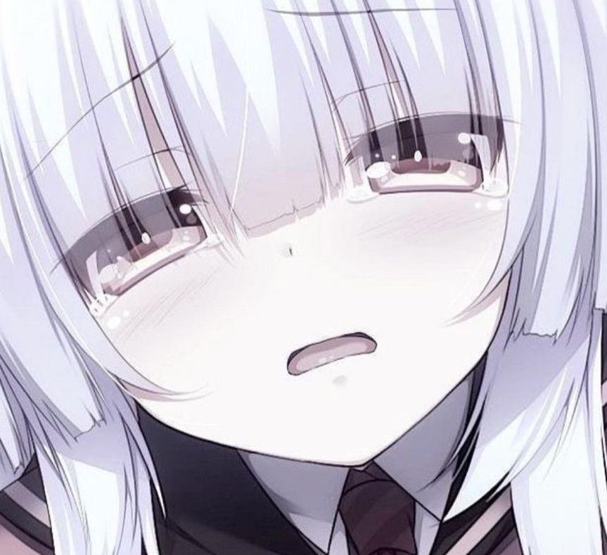 MissTerryStyle's tweet image. 犬は寂しいです 👩‍🦱