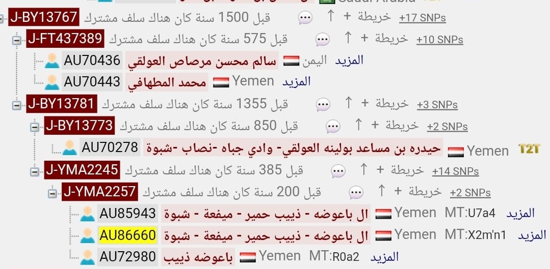 حساب لإعلان نتائج التحور - j1-BY8-ZS4062 tweet media