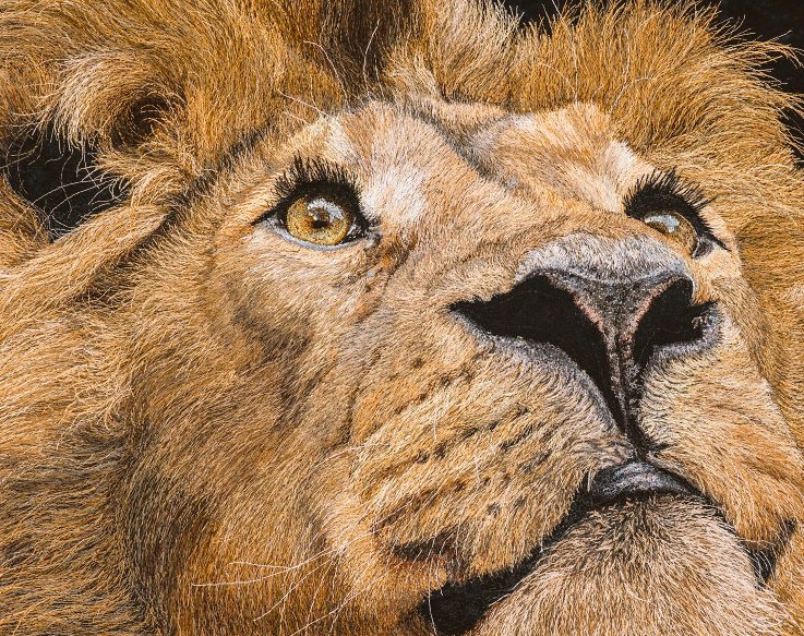 womensart1's tweet photo. Austrian artist Janine Heschl creates 'textile wildlife art,' using machine embroidery to focus on wildlife protection #womensart https://t.co/nuZsHNvBQQ