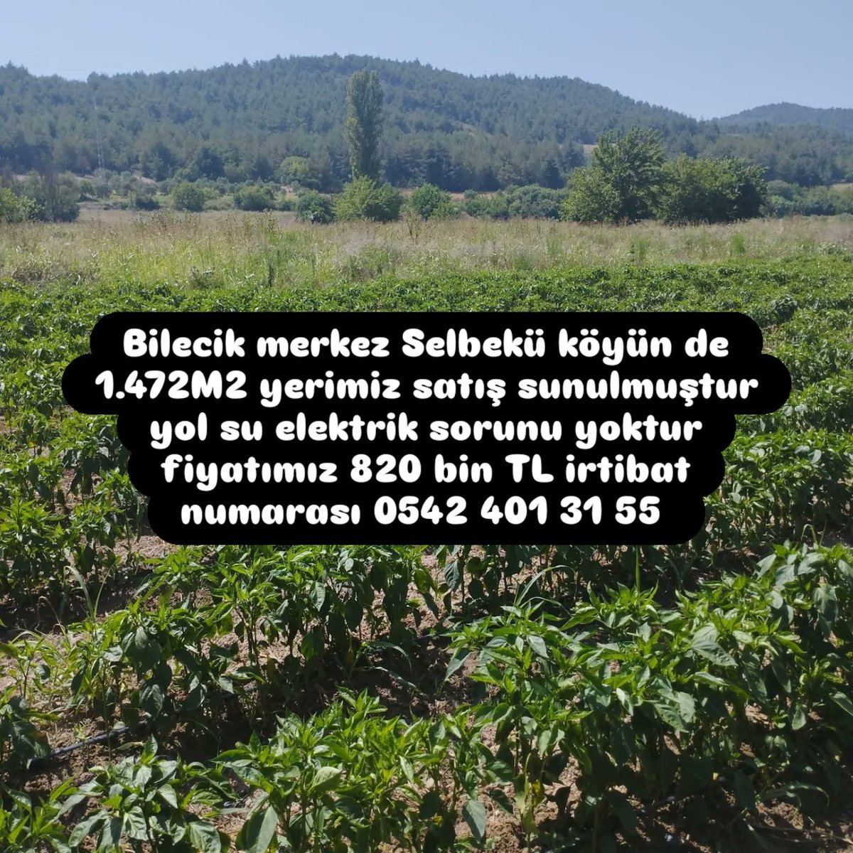 Metinates5455's tweet photo. #Innovia4Vurgunu #geyve #sakarya #izmit #kocaeli https://t.co/FB0hW3Obe8