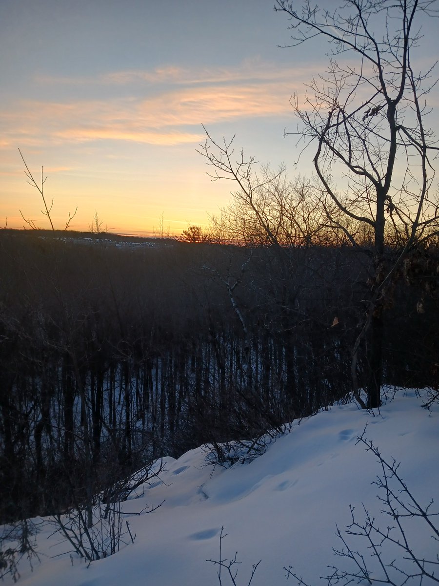 The Freshwater Review is accepting submissions! Submit by March 3rd at css.edu/about/st-schol…