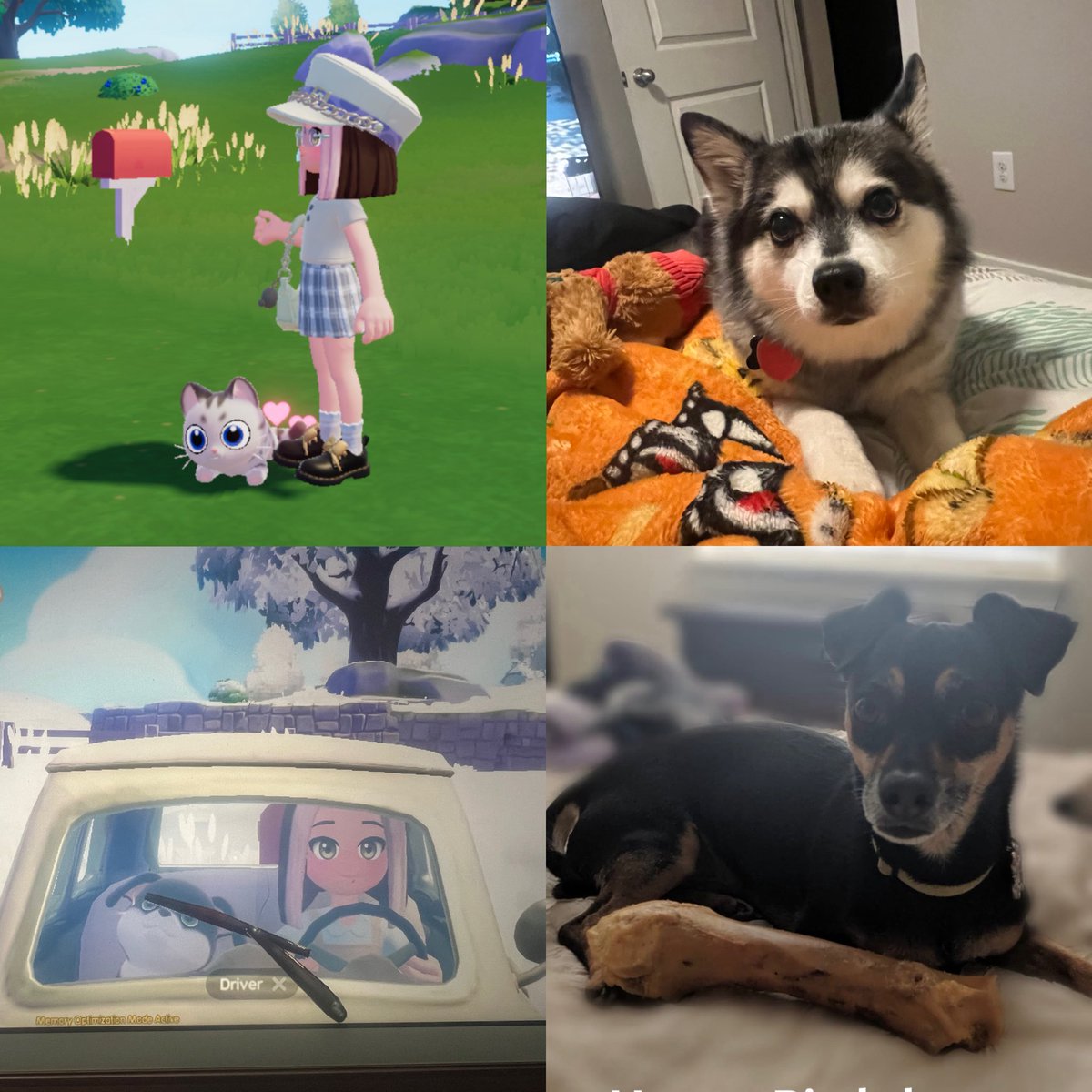 Adorkable_Bree's tweet photo. @MyHeartopia @heartopia Echo and Mac 🥰 https://t.co/HPOn4NBwHn