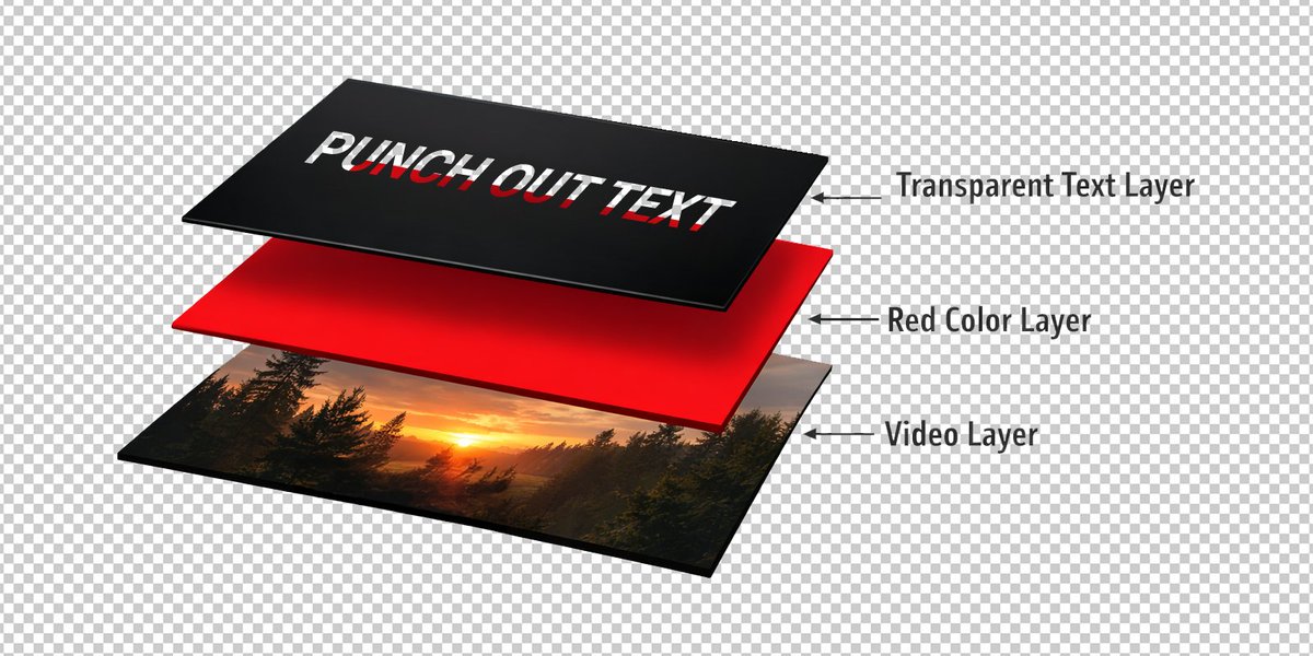 Xopher Molitor tweet media