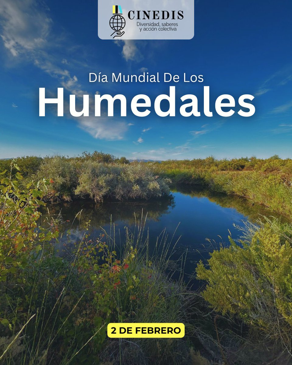 💧🌿 Los humedales son vida, memoria y futuro

Desde CINEDIS destacamos la importancia de estos ecosistemas como fuentes de biodiversidad, equilibrio ambiental y sustento para comunidades que históricamente han convivido y protegido estos territorios.

#DíaMundialDeLosHumedales