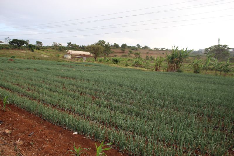 emasadistributr's tweet photo. The Emasa team in Kenya https://t.co/OxPzAm6xEg