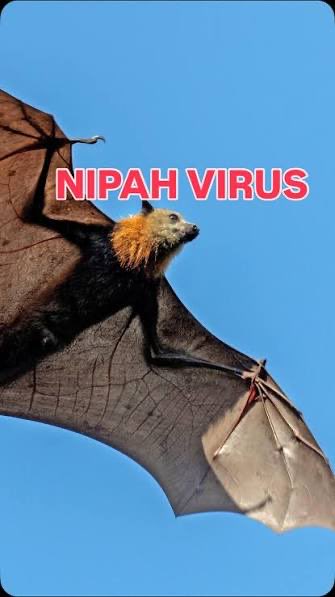 ملتقى مكافحة العدوى tweet media