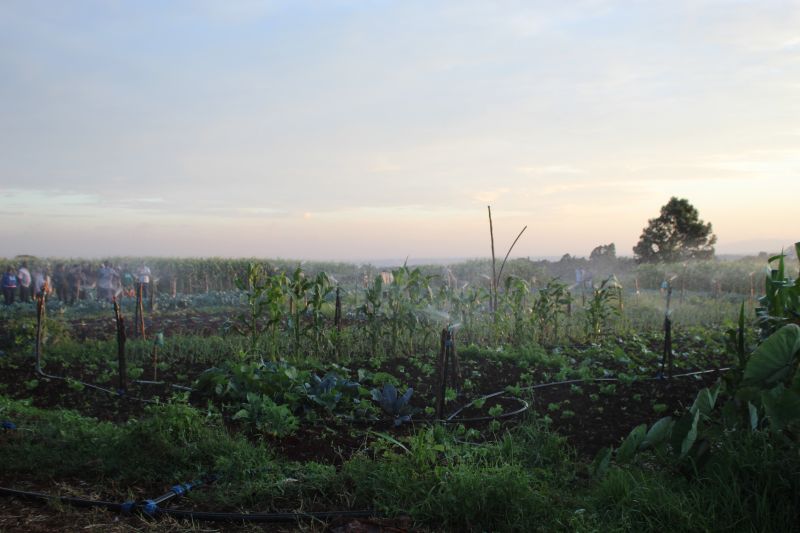 emasadistributr's tweet photo. In Dec, Emasa Distributors toured Kenya’s top farms to deepen climate-smart ag knowledge. Key lessons: tech + training boost yields, value addition &amp; market access are vital, and solar energy powers sustainable farming. Regional learning fuels innovation! https://t.co/0zfqDTI6Vh