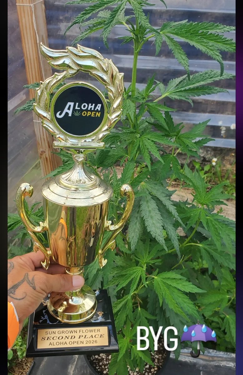🏆 Another podium finish! 
2nd Place – Sun Grown Flower
🌺 Aloha Open 2026
Huge congrats to Slaughter House Hawaii 🤙
Sun-grown flower done right, from the field all the way to the finish.
Genetics matter.
Growing skill matters.
But awards are won or lost in the dry and this run