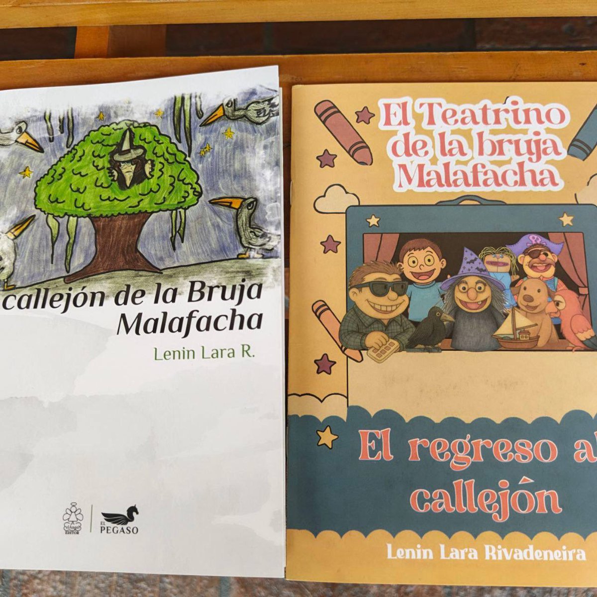 MabelMendezRojas tweet media