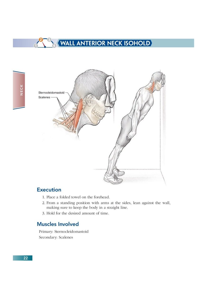 Hugo ☀️ NOgymNOlimits tweet media