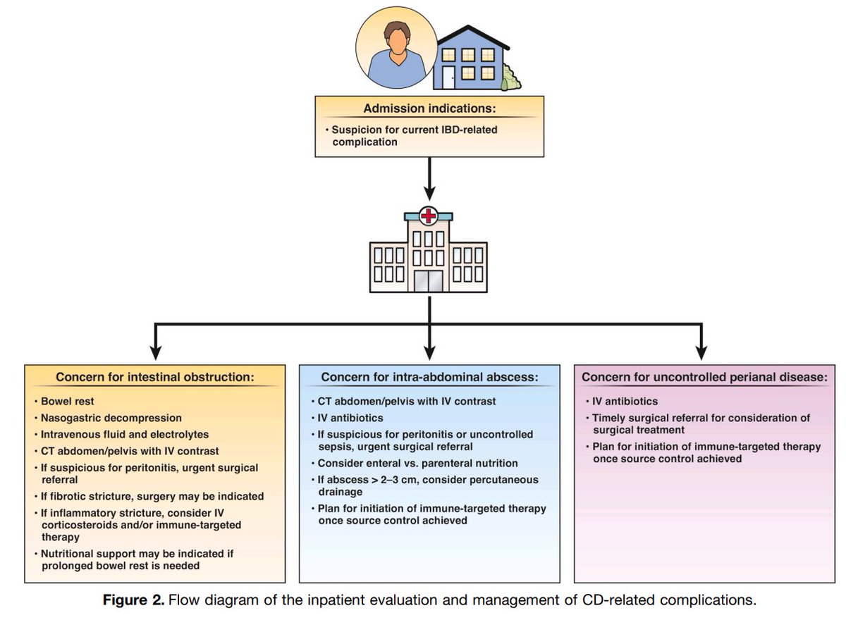 Sociedad Española de Patología Digestiva (SEPD) tweet media