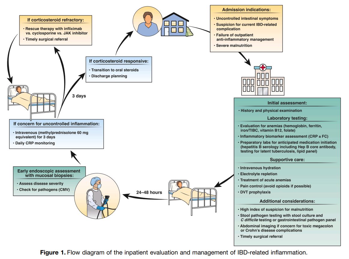 Sociedad Española de Patología Digestiva (SEPD) tweet media
