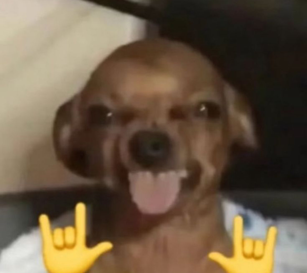 marᵀᴿᴬᴰˢ ᴵⁿᶠᵒ 𝟕 ∞🇲🇽 tweet media