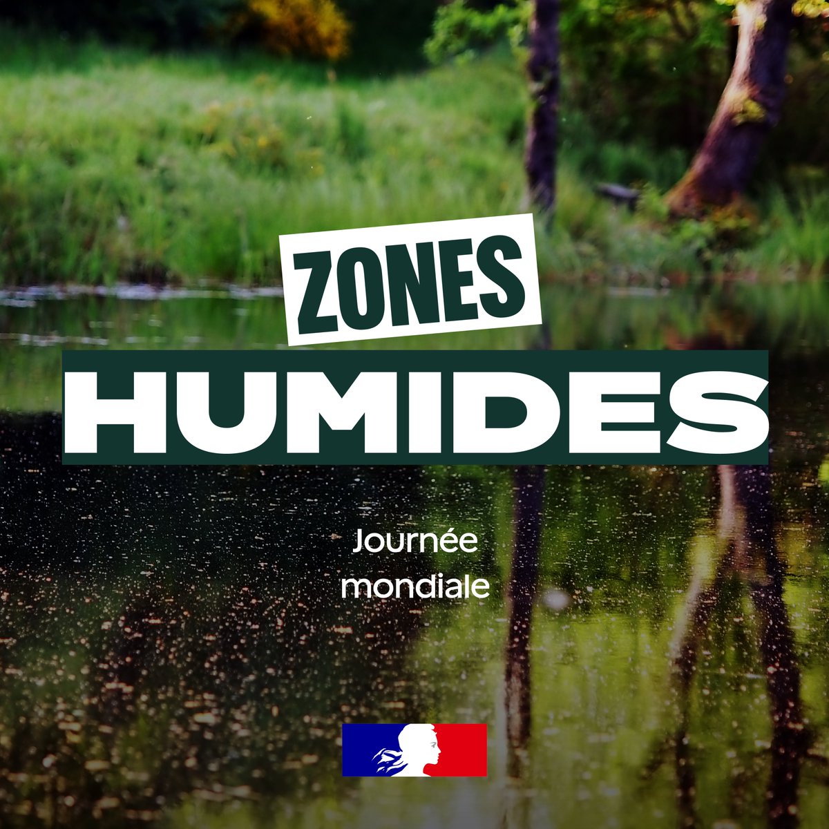 Image de Préfet d'Occitanie et de la Haute-Garonne - 🌿#JournéeMondialeDesZonesHumides | L'Occitanie abrite une multitude de milieux humides, du sommet d