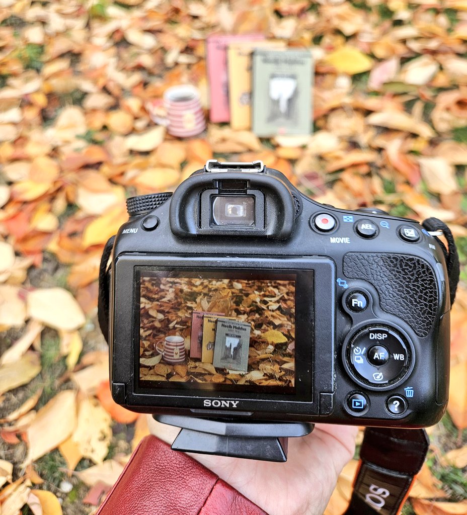 "Nesneler, bizim onlara yüklediğimiz anlamlardan ibarettir, insanlar da öyle..."