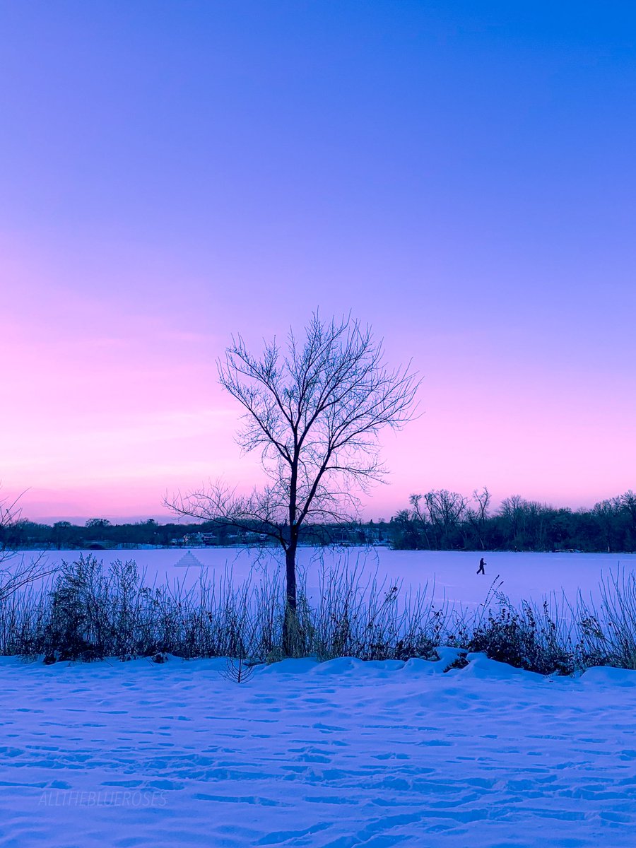 shades of winter