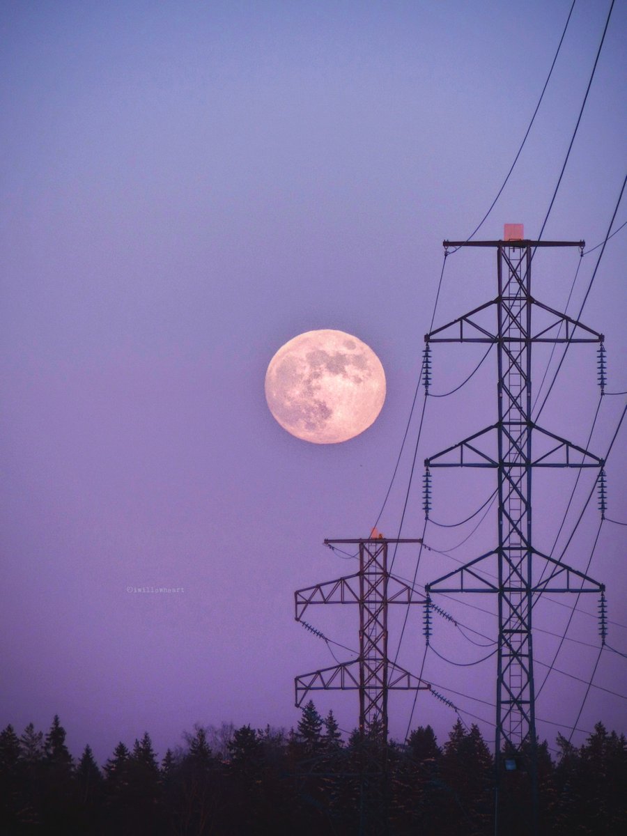 iwillowheart's tweet photo. Power within
#naturephotography 
#moonphotography 
#nightsky #trees https://t.co/XJiqqskvQI