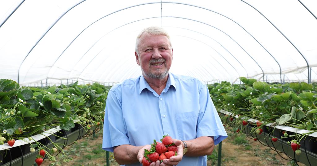 Fruitnet Berry Congress tweet media