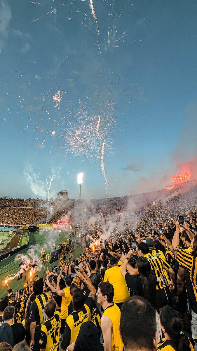 Char 📸👨🏻‍⚕️ tweet media