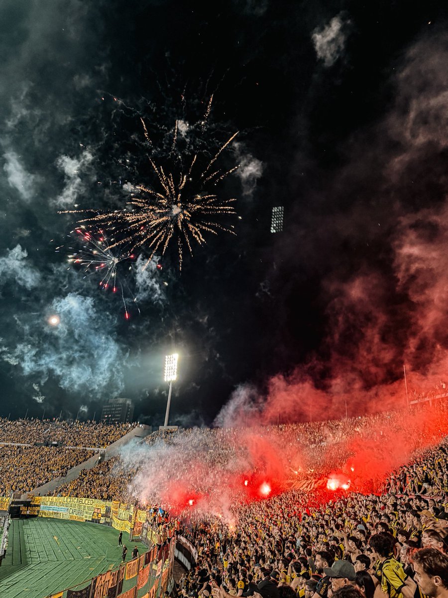 Char 📸👨🏻‍⚕️ tweet media