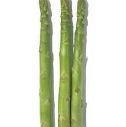 feverorange's tweet image. 船が苦い 🤥