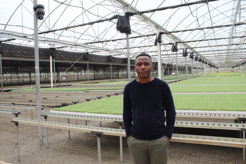emasadistributr's tweet photo. Visited Plantech Kenya, a leader in automated plant propagation in Naivasha. Their large scale greenhouses produce millions of healthy, disease-free seedlings monthly, boosting yields for smallholders &amp; commercial farms. Automation + expert know-how = quality seedlings https://t.co/E2o4s7NbdQ