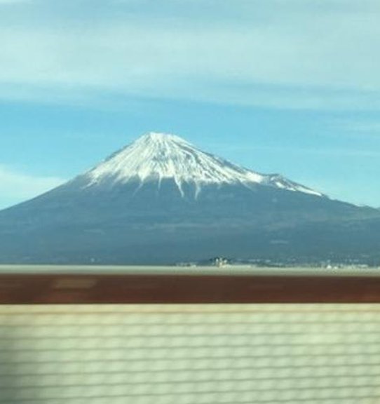 juarez251's tweet image. 大人はいつの？ 🦝