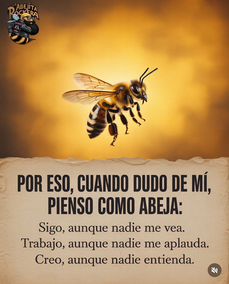 Disciplina (@eligedisciplina) on Twitter photo 