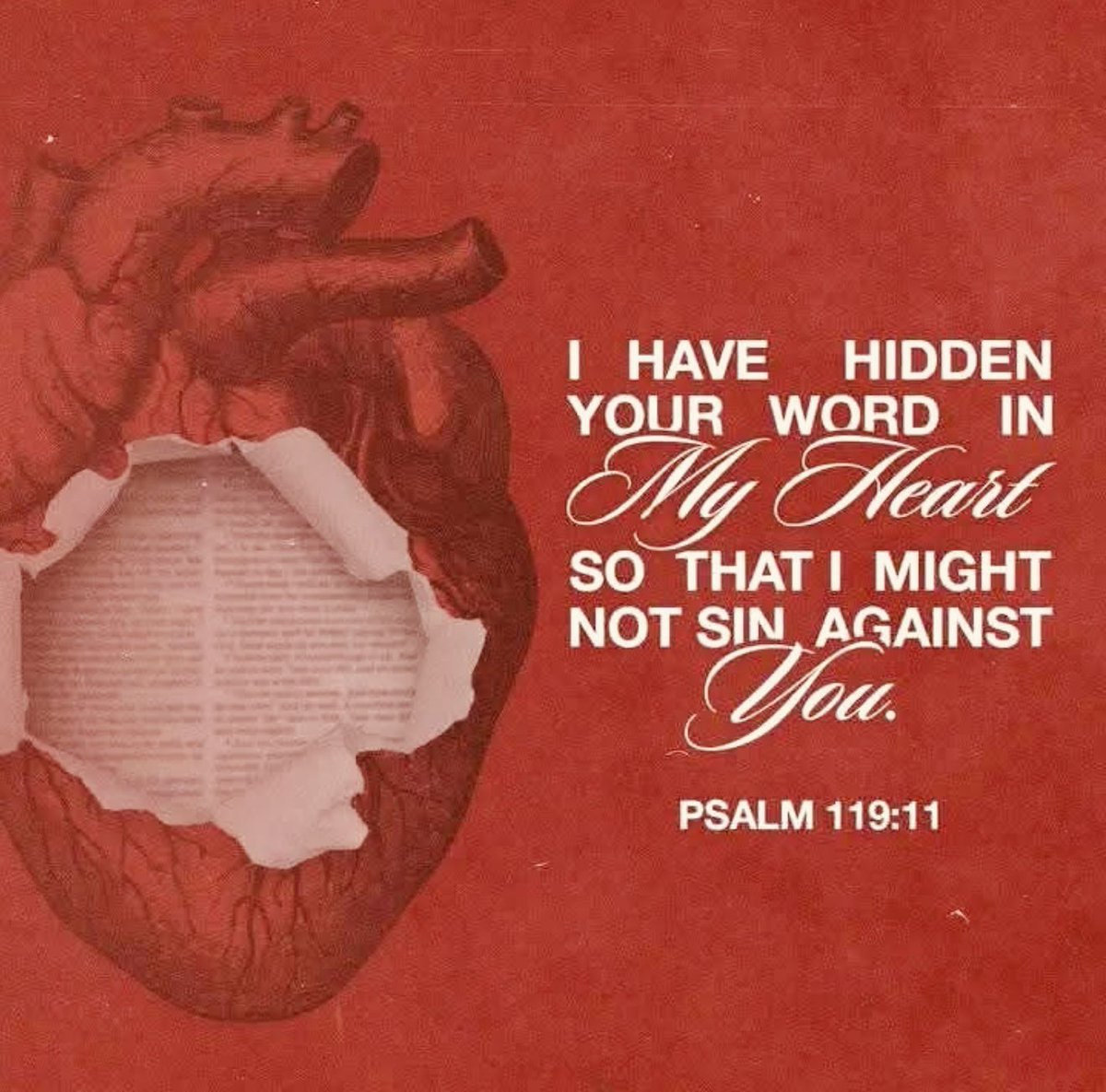 Emmanue37844681's tweet image. Psalms 119:11
“Thy word have I hid in mine heart, that I might not sin against thee.” ❤️📖❤️