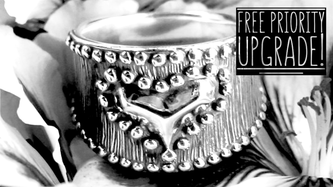 3rexes's tweet image. A Little Valentine's Magic, Cast in Silver - mailchi.mp/2f589e92035b/m…