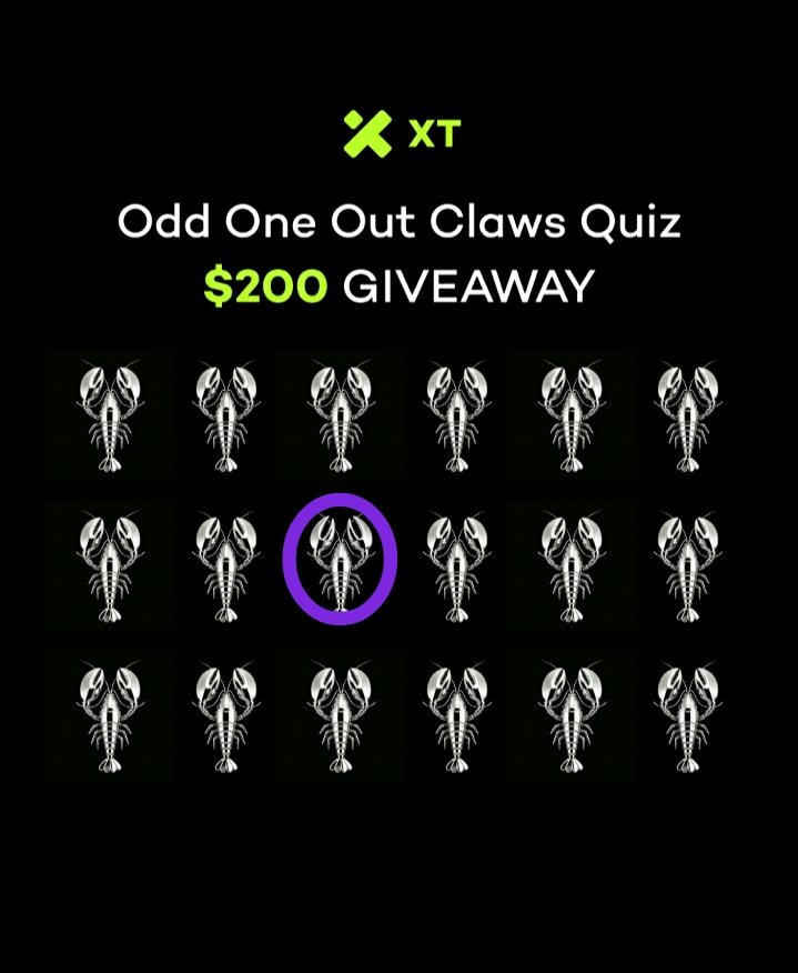 rais won tweet media