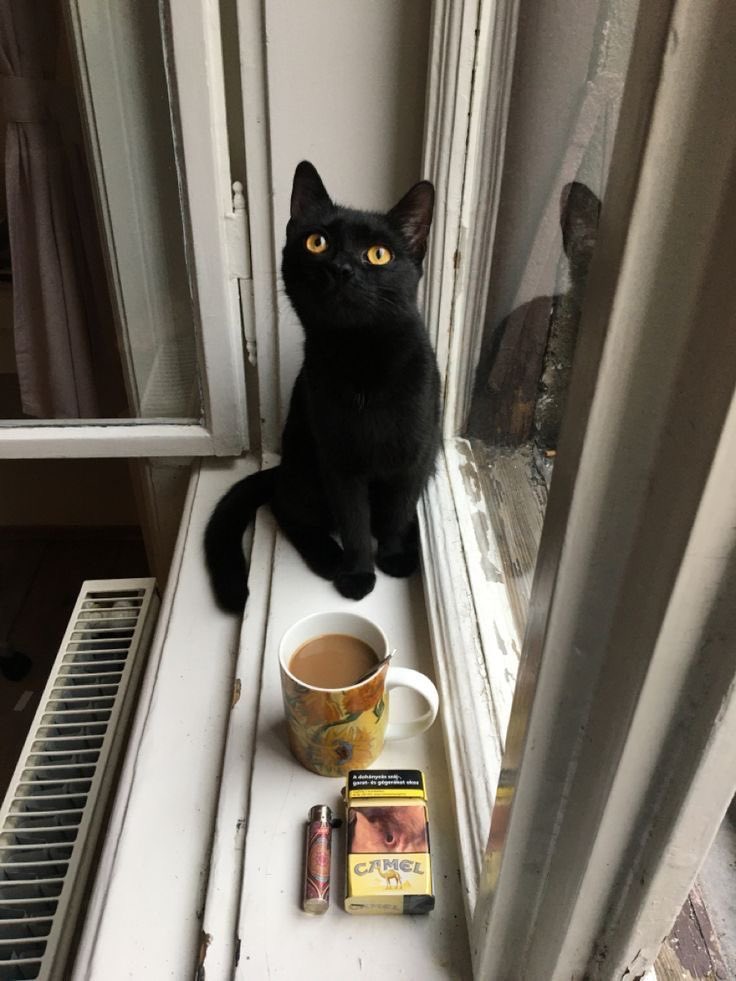 mk ?! deslog tweet media