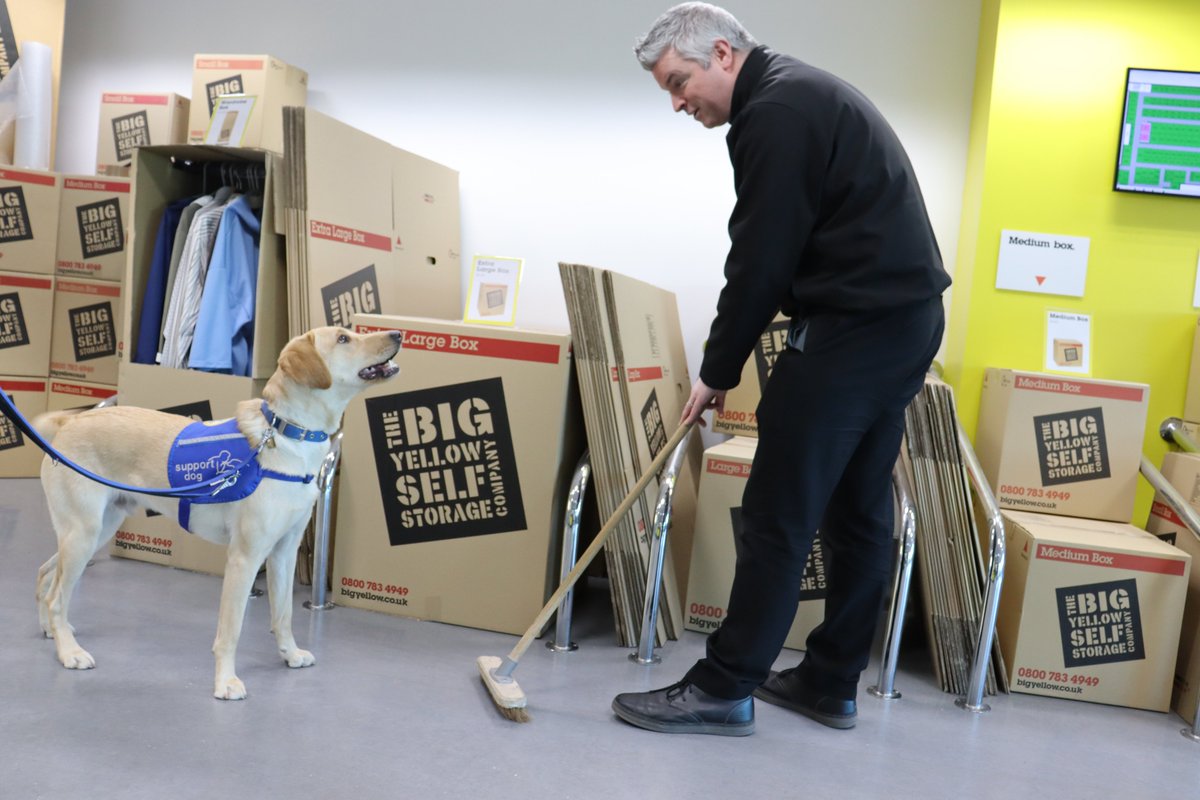 Support Dogs tweet media