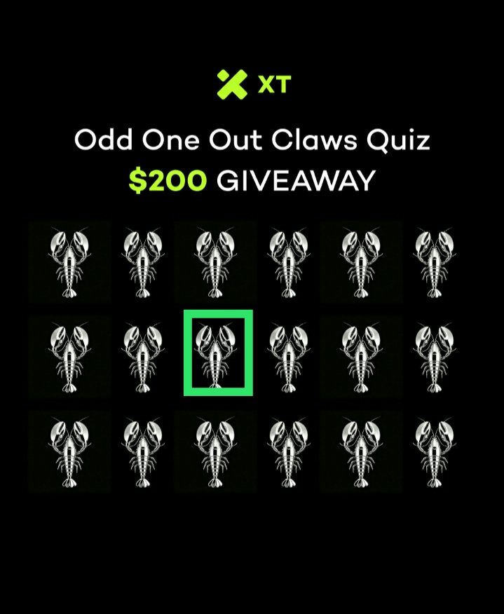 🔥 Lia win ⚡ tweet media