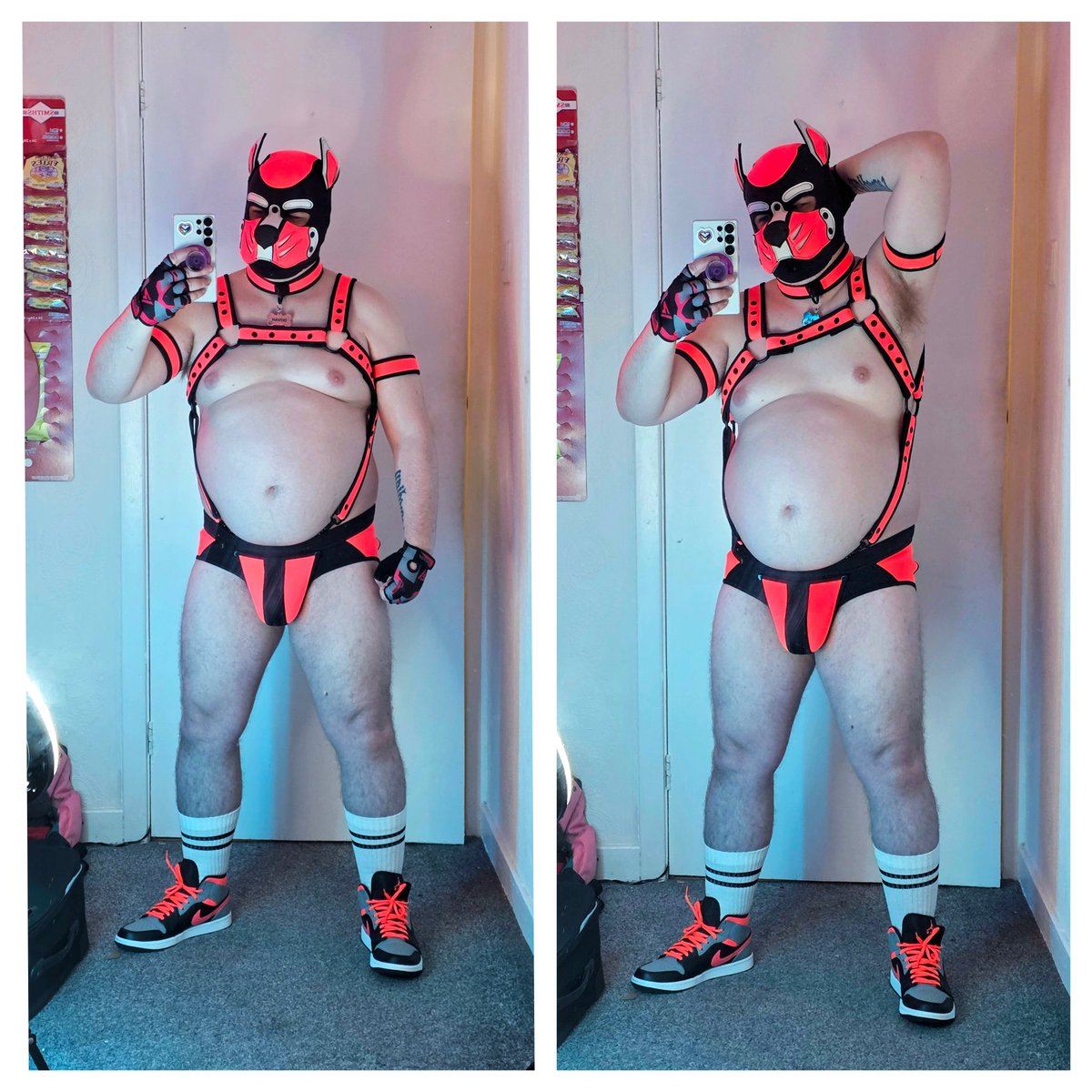 ☘️🇮🇪 Dovah_Pig🔜GBBB26 🐷🏳️‍🌈 tweet media