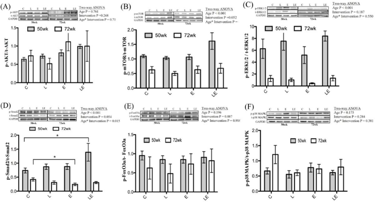 Biomedical Journal tweet media