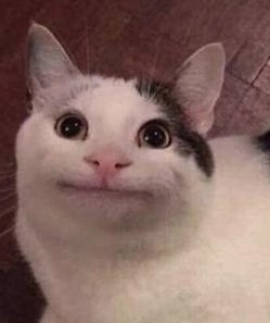 PrenticeRealty's tweet image. 75人 🥙