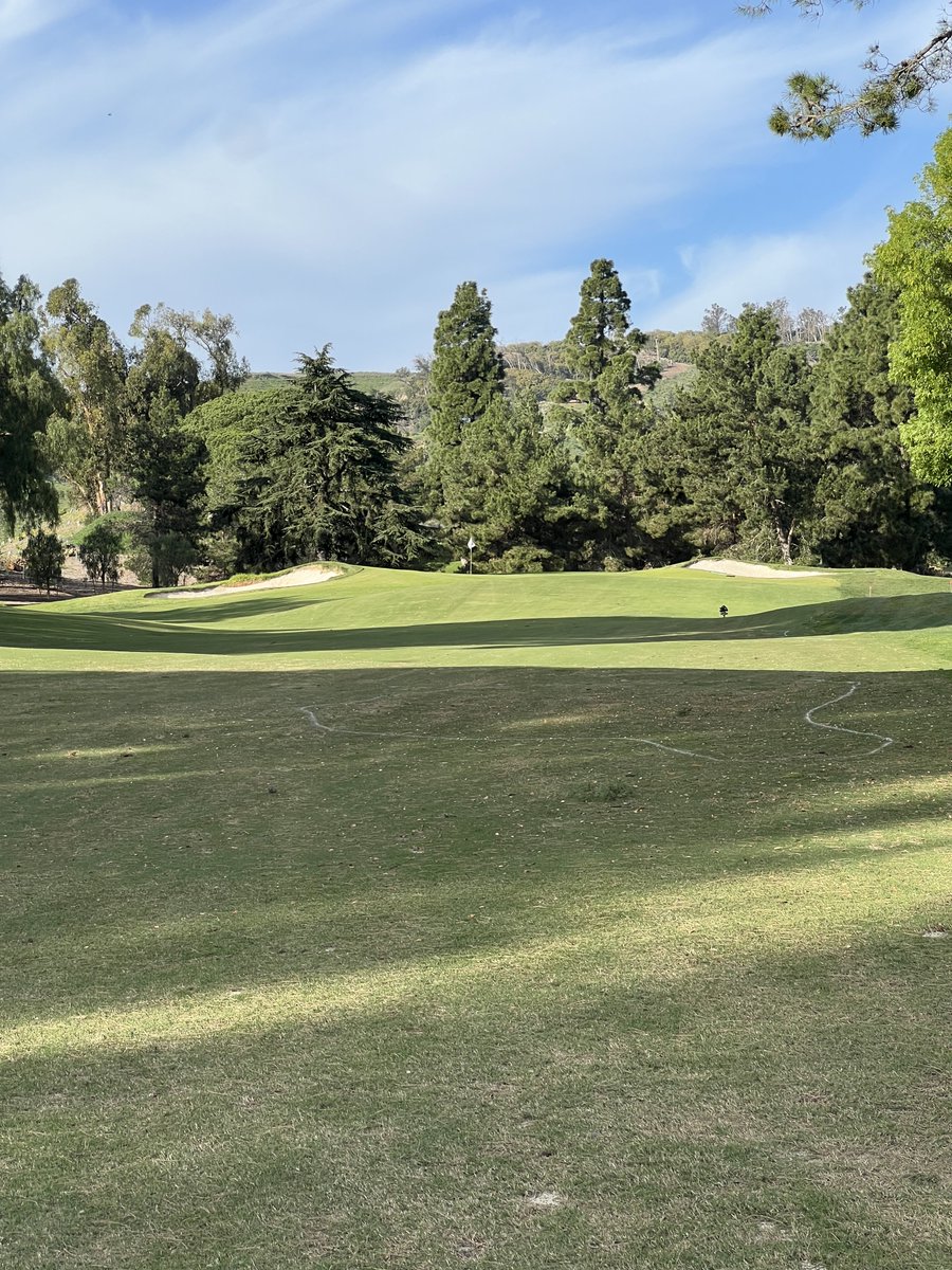 Scott Erling tweet media