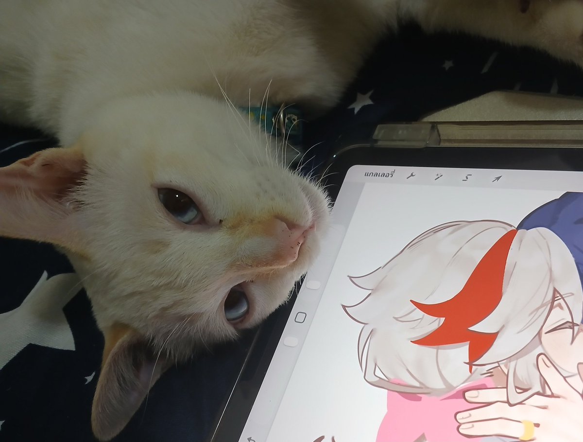 Air11_37's tweet image. ทำไมมองแบบนั้น