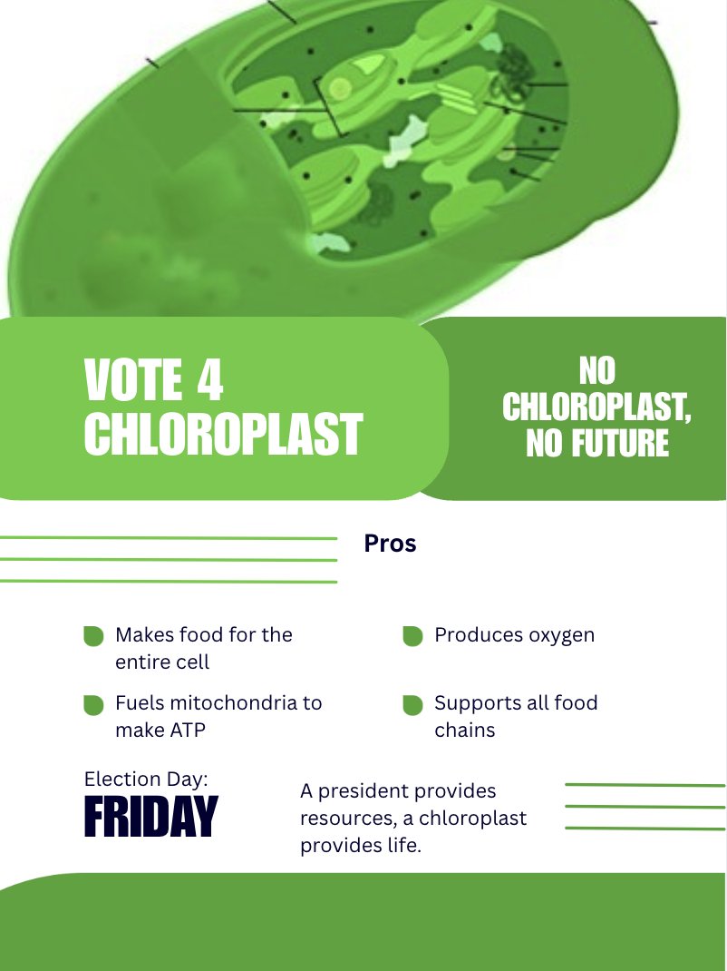 CHLOROPLAS7109's tweet photo. @BryanBiologyiek VOTE 4 CHLOROPLAST!!! https://t.co/cglDiwxwTl
