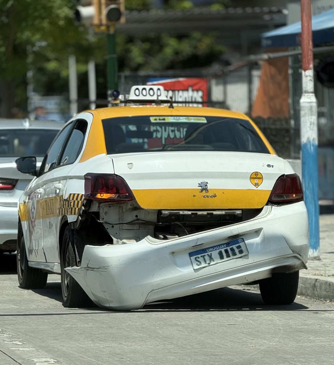 Sabés que el salpicón va a ser contundente cuando te lo cantan así