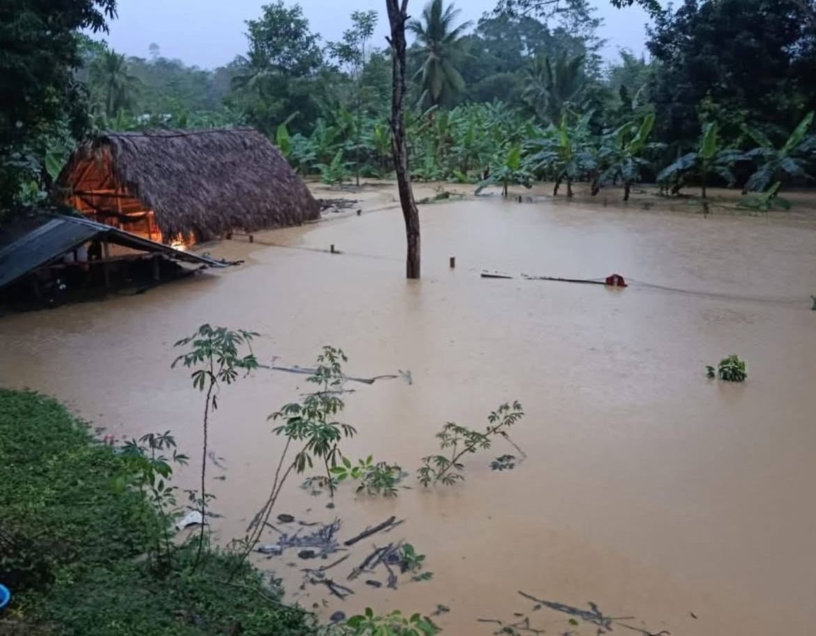 ClaudiaLopez's tweet photo. La inundación en Córdoba es dramática. Las intensas lluvias y el desborde de la represa de URRA inundaron todos los municipios aguas abajo: Puerto Libertador, Canalete, Los Cordobas, Montelibano, San Pelayo, Momil y más.
La urgencia es salvar a la gente y recuperarla. Las responsabilidades se establecerán después.
