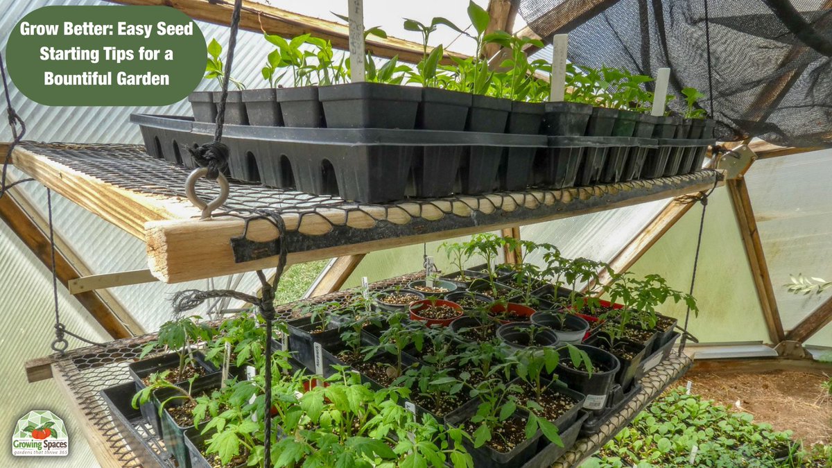 GrowingSpaces's tweet photo. Starting seeds indoors is the first step toward a bountiful harvest! 🌱 Whether on a windowsill or in a greenhouse, what's more rewarding than watching those sprouts appear?

https://t.co/OkHzGoX0eP

#gardenideas #plantingschedule #GrowingSpaces https://t.co/uqLHJWxqV2
