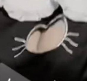 ipriz's tweet image. 国はどっち？ 🍶