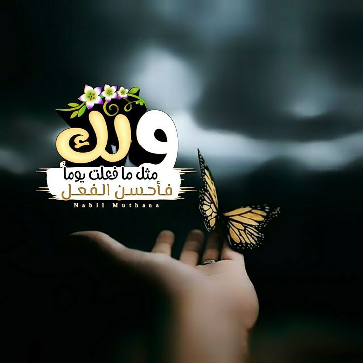 🦋نـ♥ـوٌرآ🦋غياب tweet media