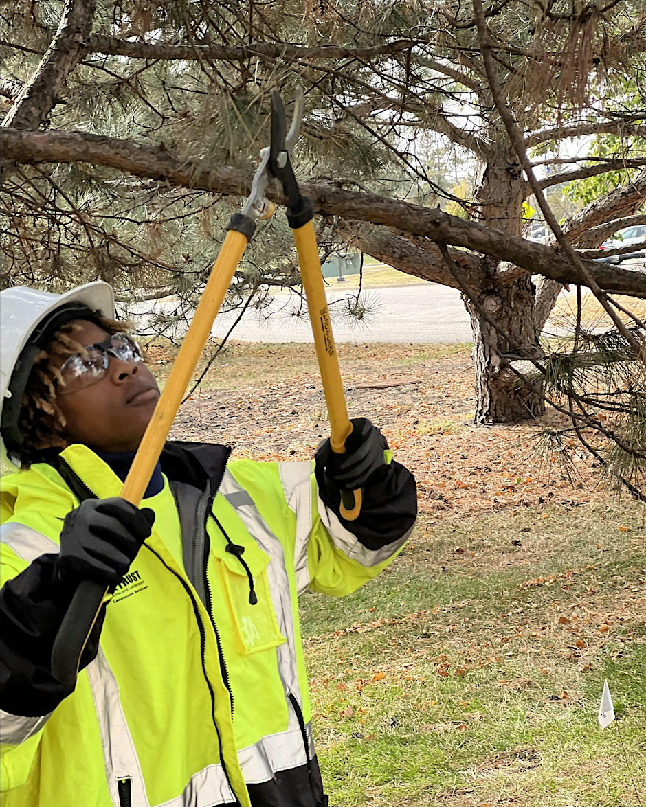 Tree Trust tweet media