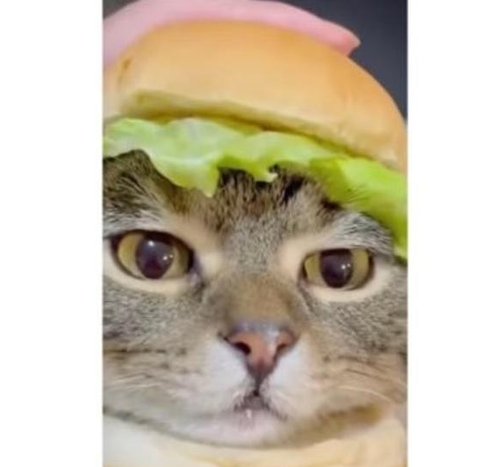 MapessaStyle's tweet image. 靴は誰ですか？ 🍮