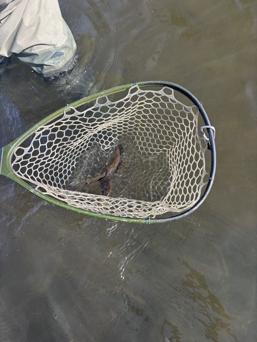 Devin McCombs, CFP®, TPCP®, CSLP® tweet media