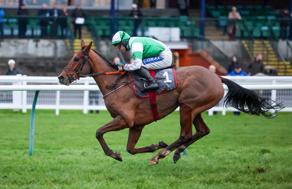 Racing Post Bloodstock tweet media